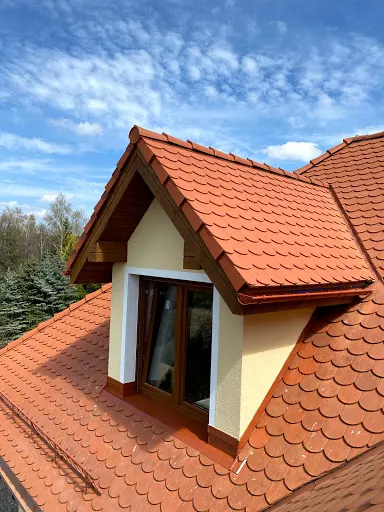 Dachy Dominik Lachowicz